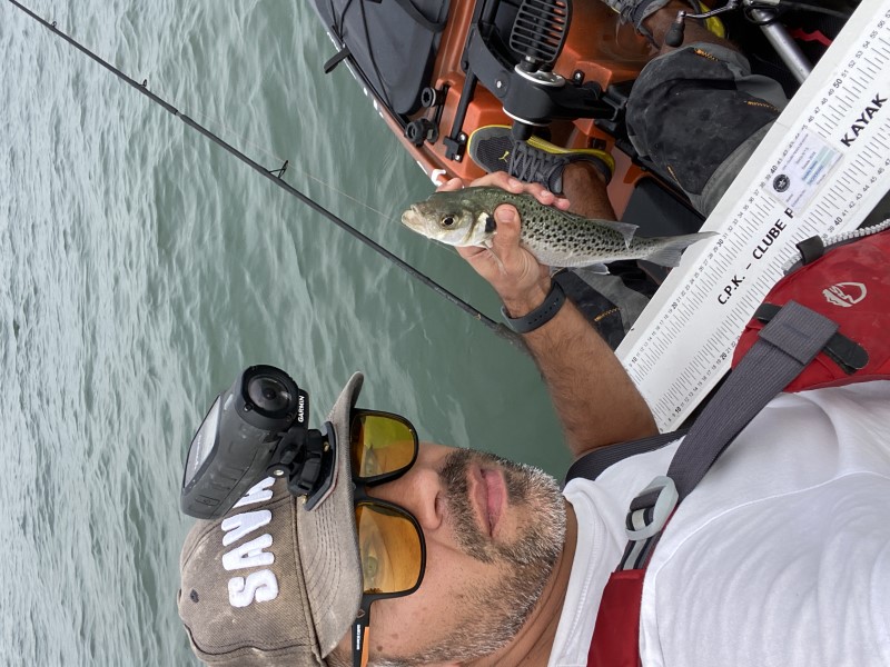 Fish Profile Picture