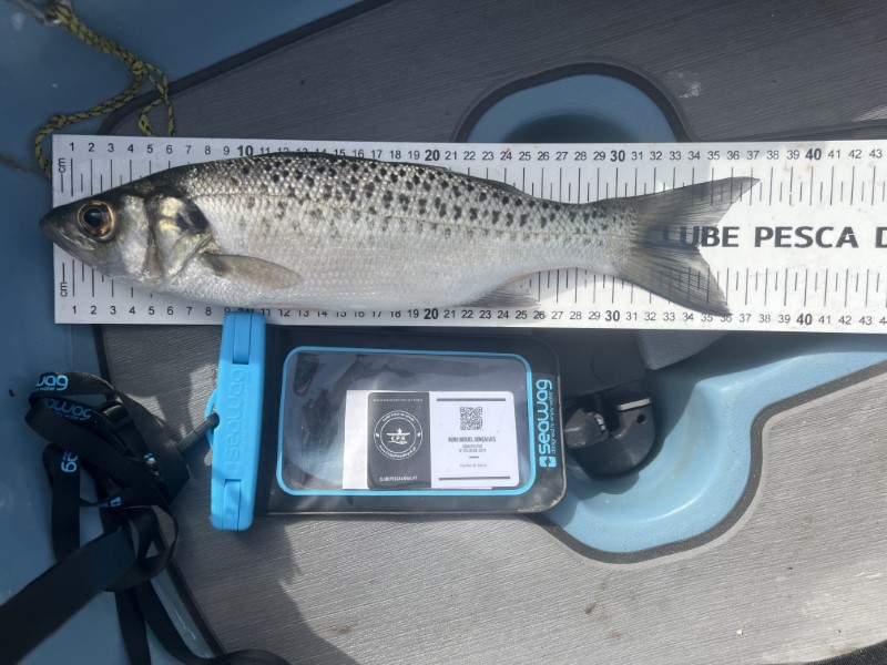 Fish Measure Picture