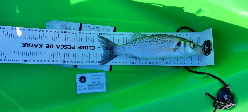 Fish Measure Picture