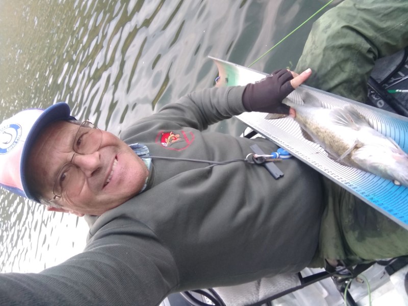 Fish Profile Picture