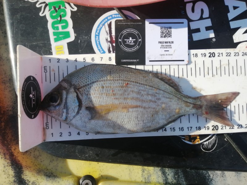 Fish Measure Picture