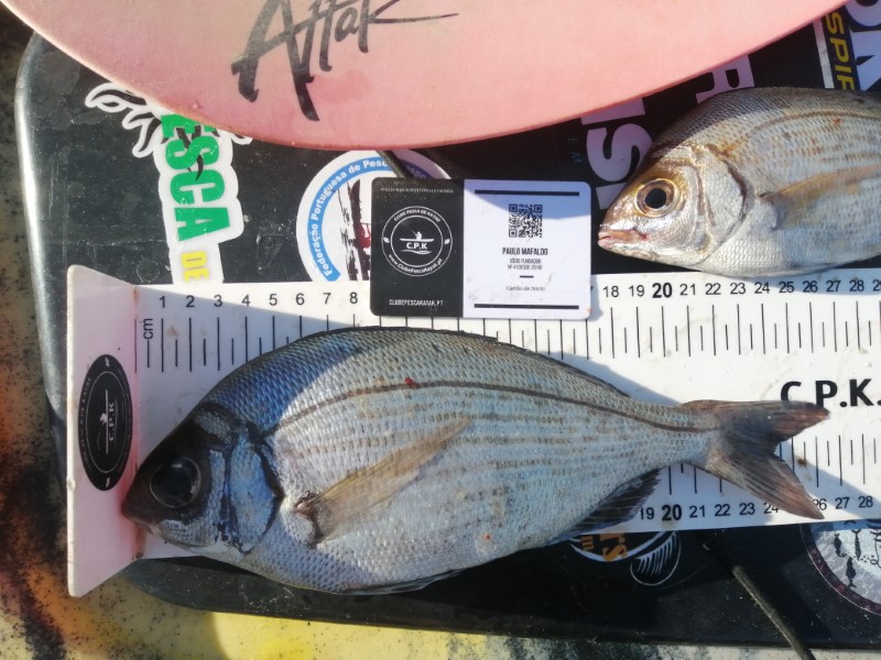 Fish Measure Picture