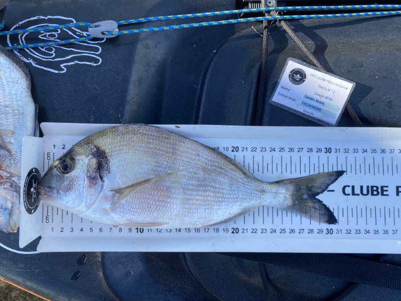 Fish Measure Picture