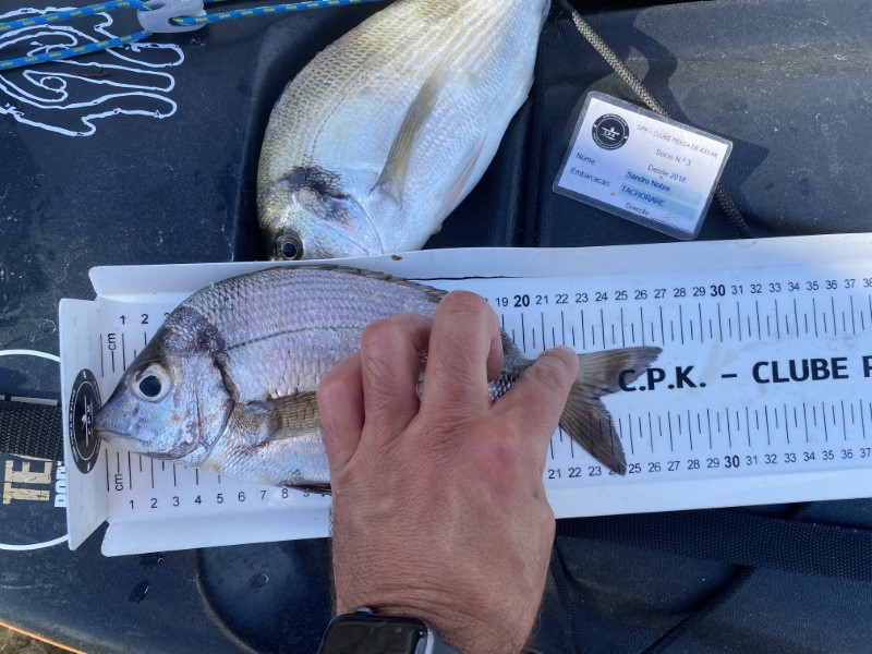 Fish Measure Picture