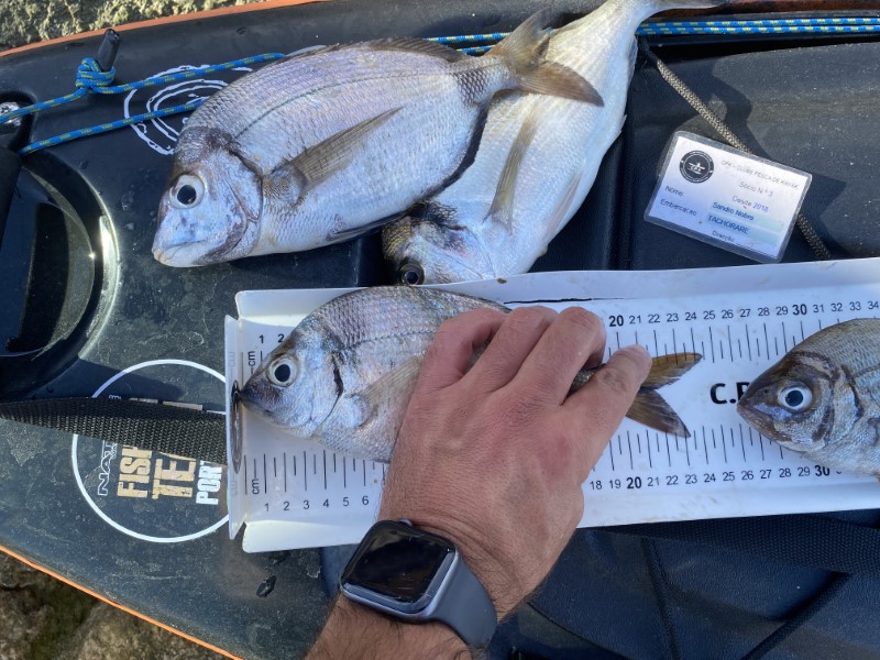 Fish Measure Picture