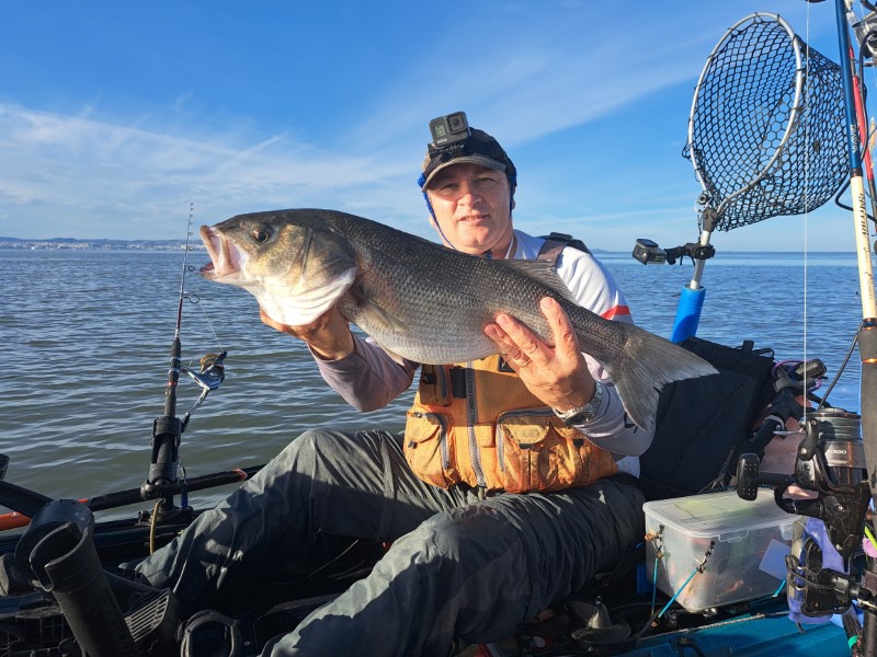 Fish Profile Picture
