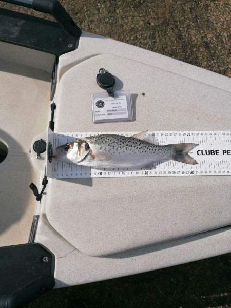 Fish Measure Picture