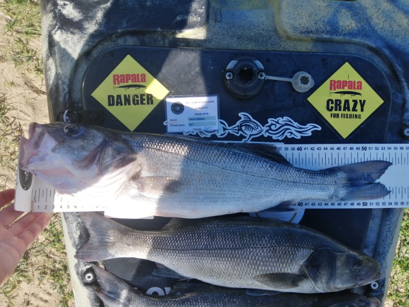 Fish Measure Picture