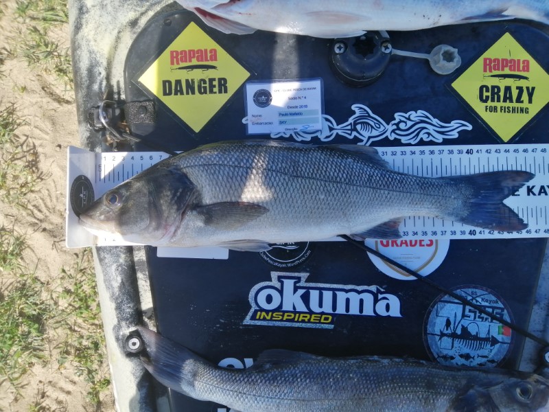 Fish Measure Picture