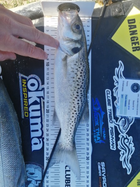 Fish Measure Picture