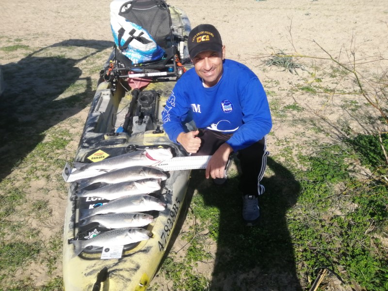 Fish Profile Picture