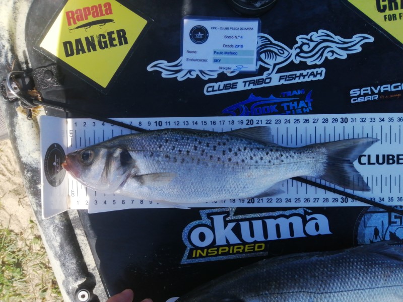 Fish Measure Picture
