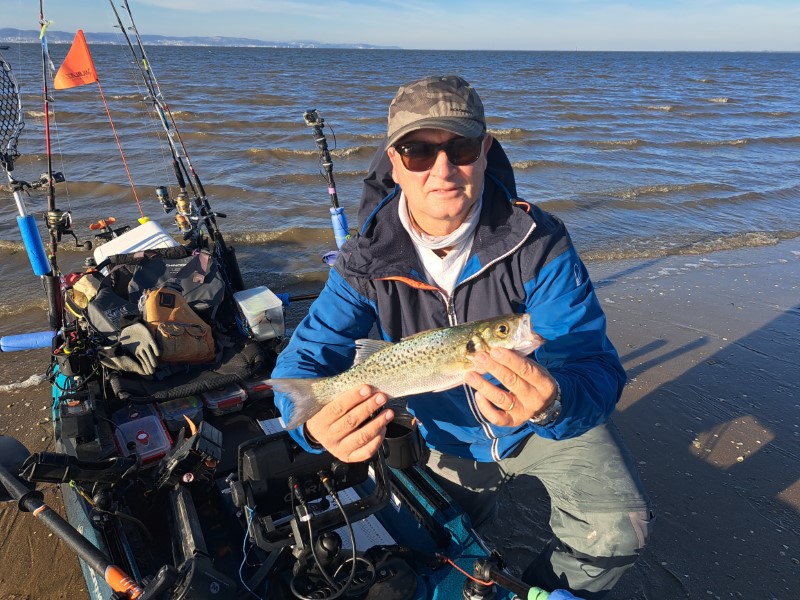 Fish Profile Picture