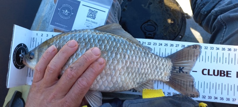 Fish Measure Picture