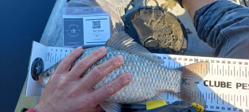 Fish Measure Picture