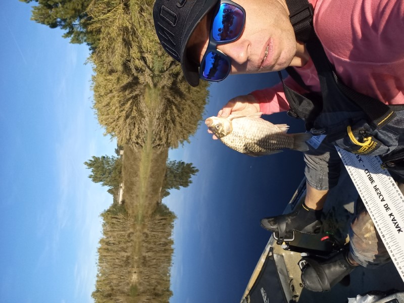 Fish Profile Picture