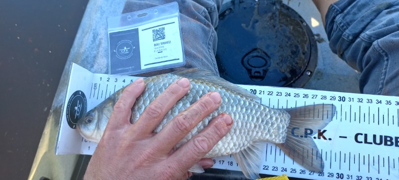 Fish Measure Picture