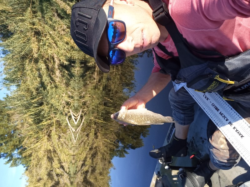 Fish Profile Picture