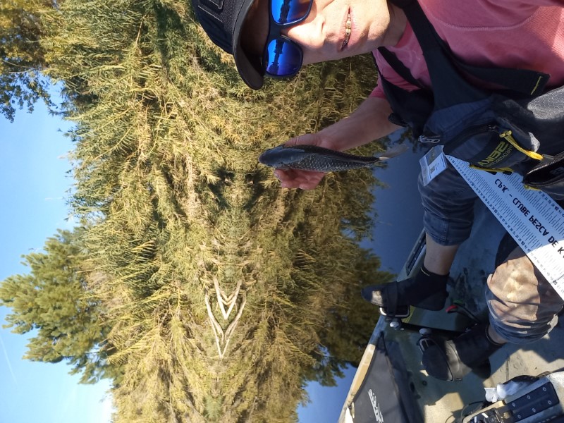Fish Profile Picture