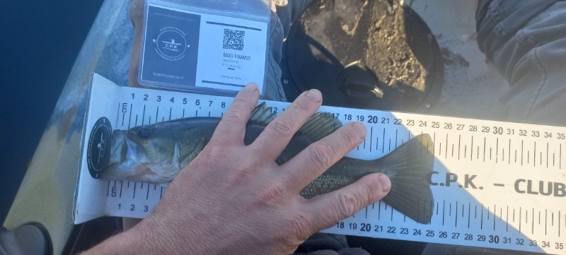 Fish Measure Picture