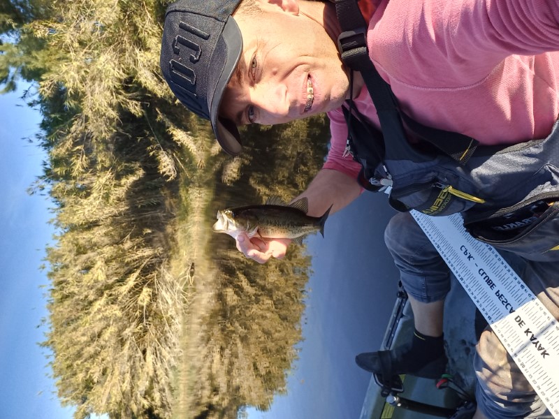 Fish Profile Picture