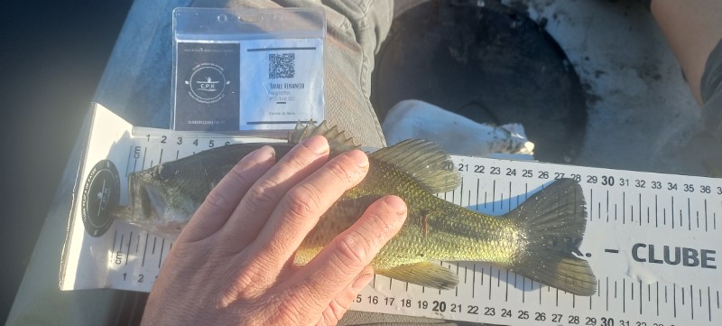 Fish Measure Picture
