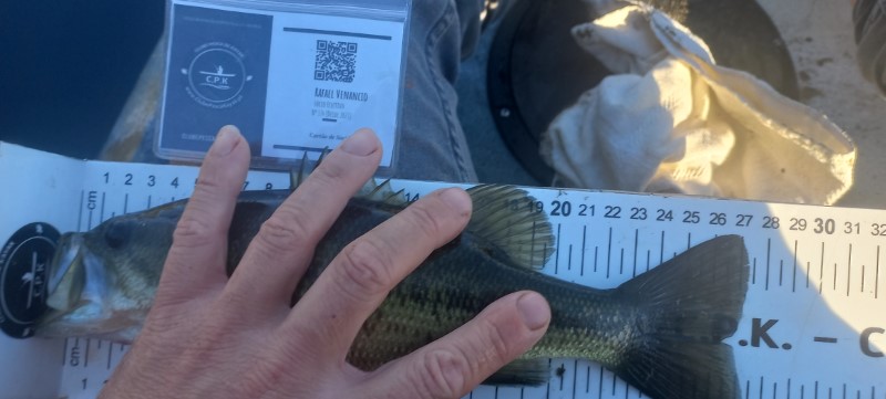 Fish Measure Picture