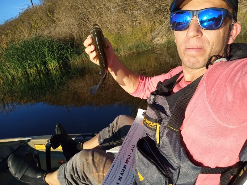 Fish Profile Picture
