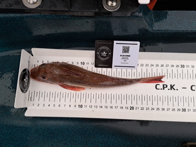Fish Measure Picture