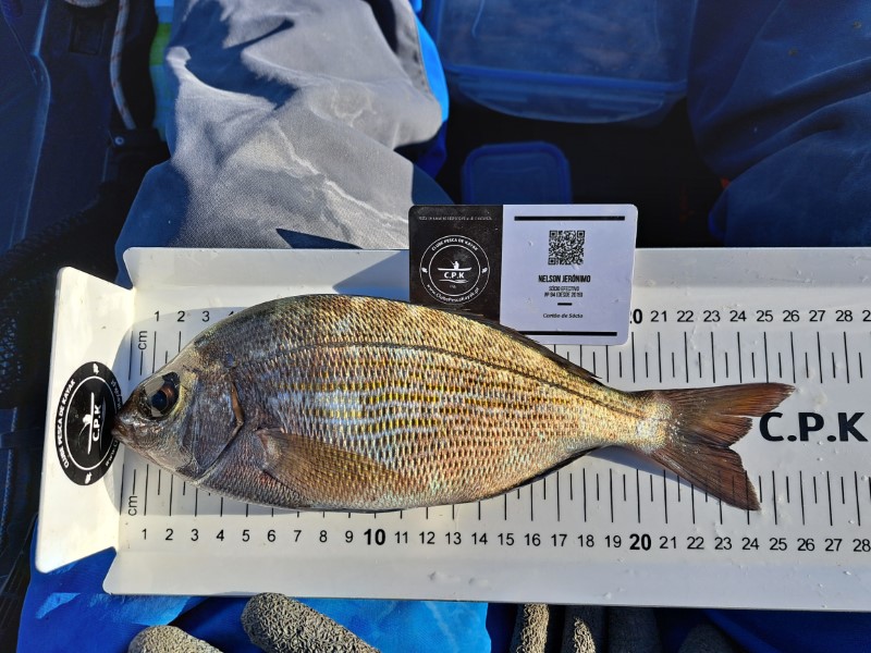 Fish Measure Picture