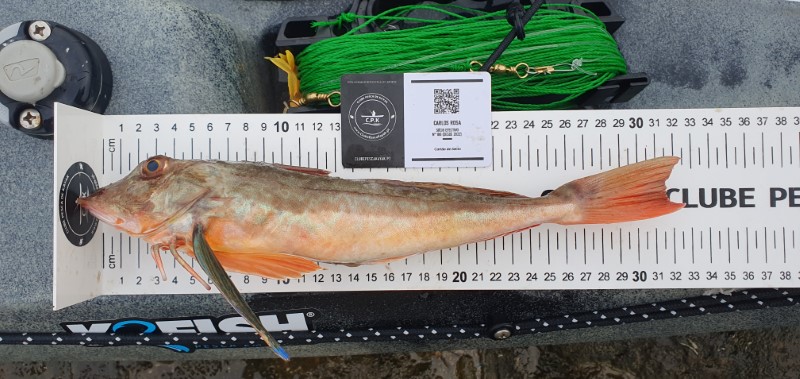 Fish Measure Picture