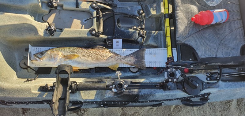 Fish Measure Picture