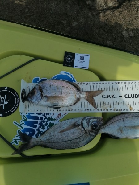 Fish Measure Picture