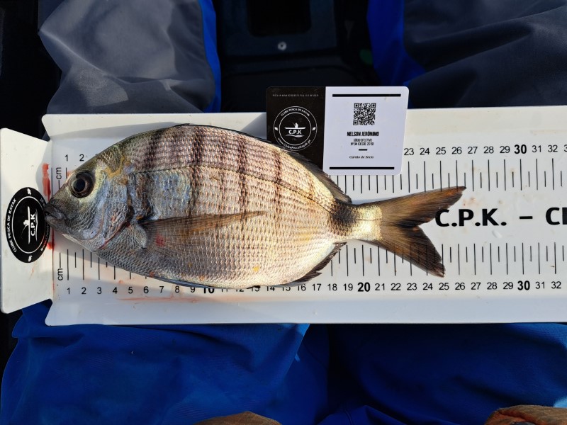 Fish Measure Picture