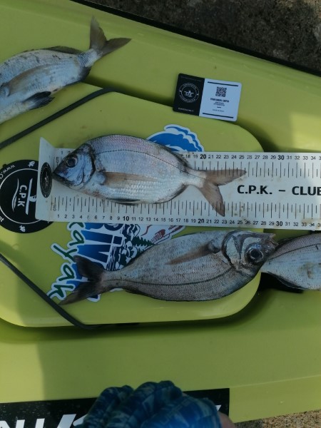 Fish Measure Picture