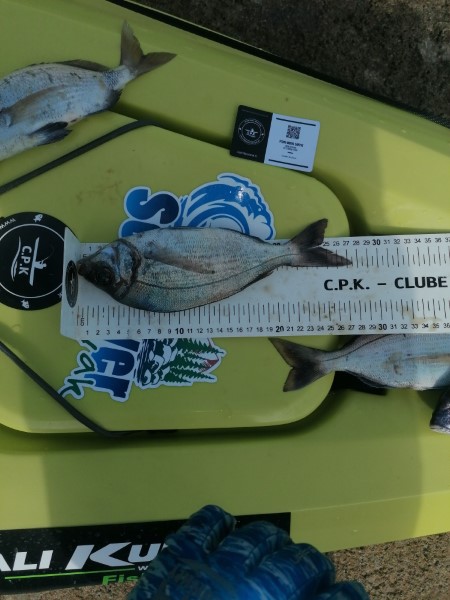Fish Measure Picture