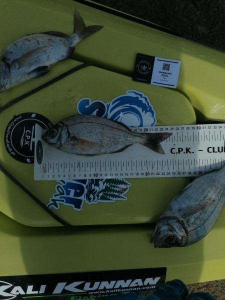 Fish Measure Picture