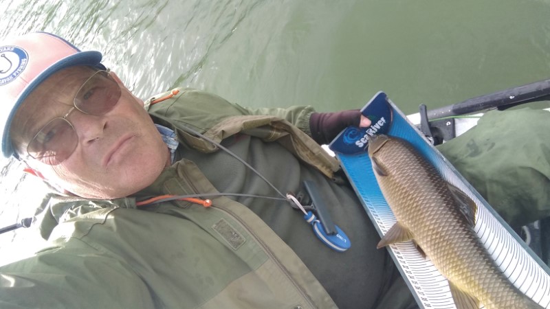 Fish Profile Picture