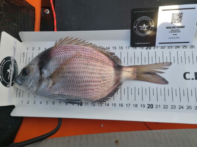 Fish Measure Picture