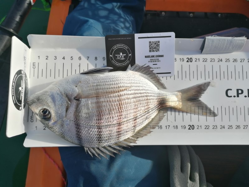 Fish Measure Picture