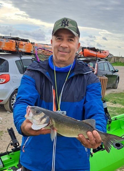 Fish Profile Picture