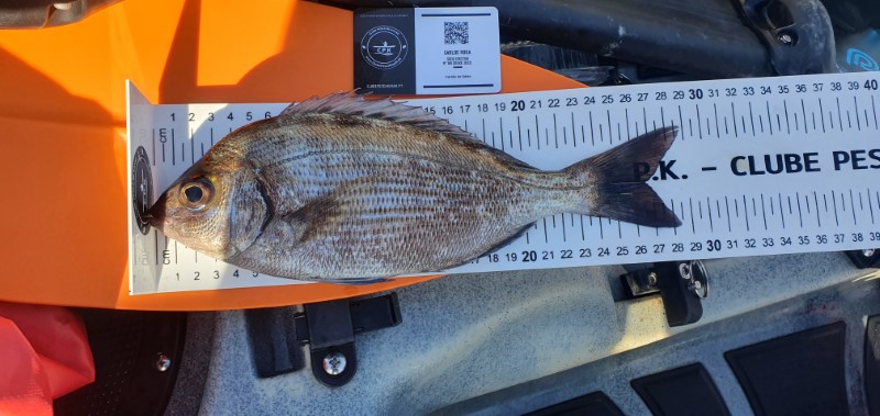 Fish Measure Picture