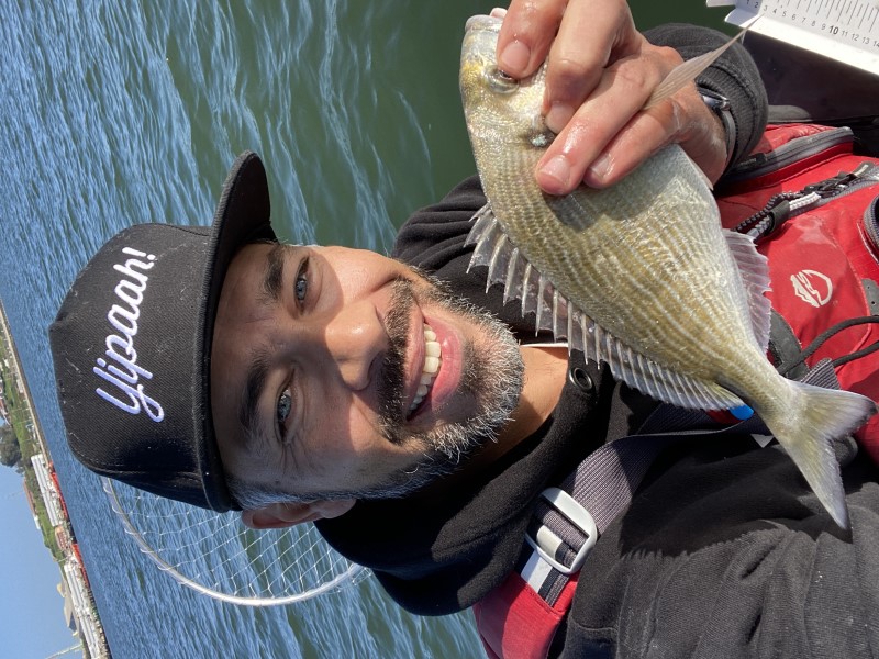 Fish Profile Picture