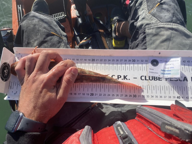 Fish Measure Picture