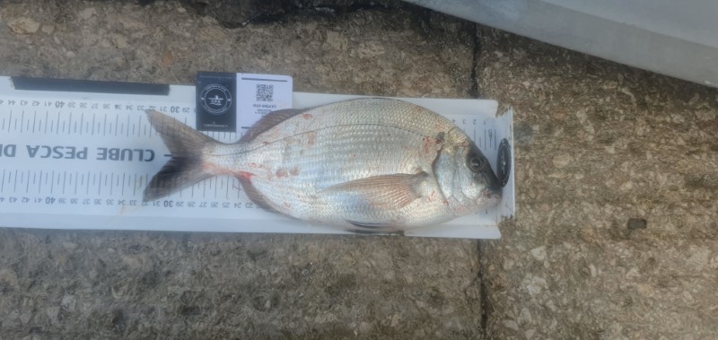 Fish Measure Picture