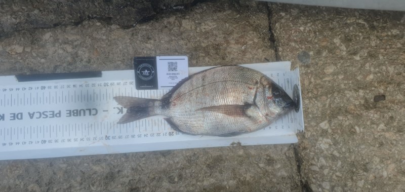 Fish Measure Picture
