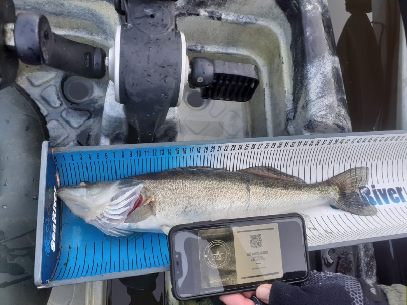 Fish Measure Picture