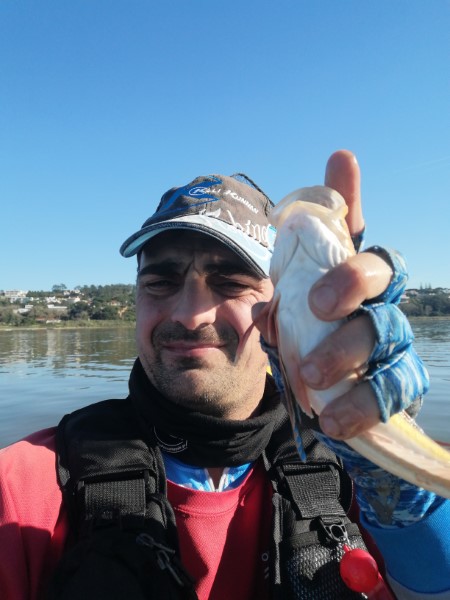 Fish Profile Picture
