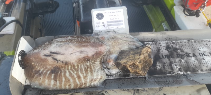 Fish Measure Picture