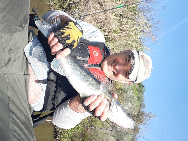 Fish Profile Picture